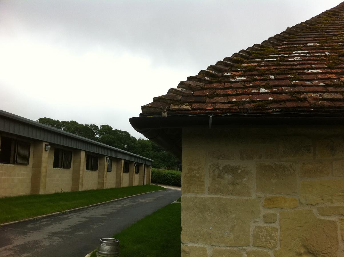 Withyslade Farm Tisbury Exterior foto